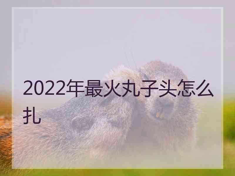 2022年最火丸子头怎么扎