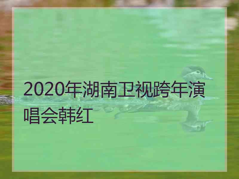 2020年湖南卫视跨年演唱会韩红