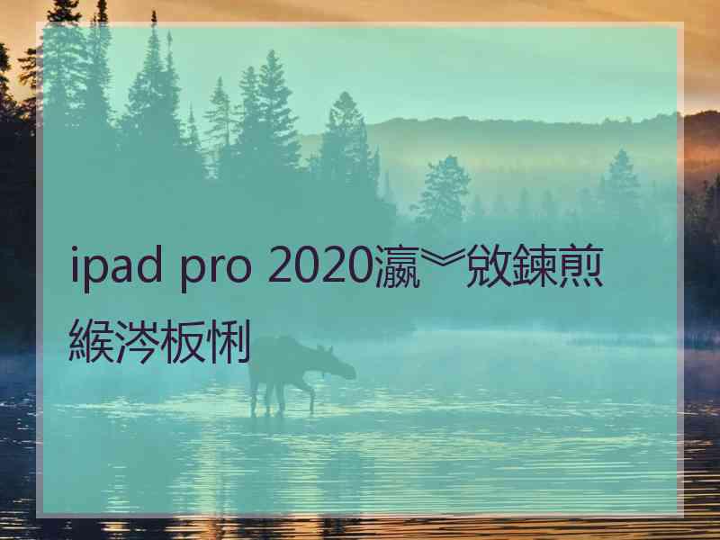 ipad pro 2020瀛︾敓鍊煎緱涔板悧