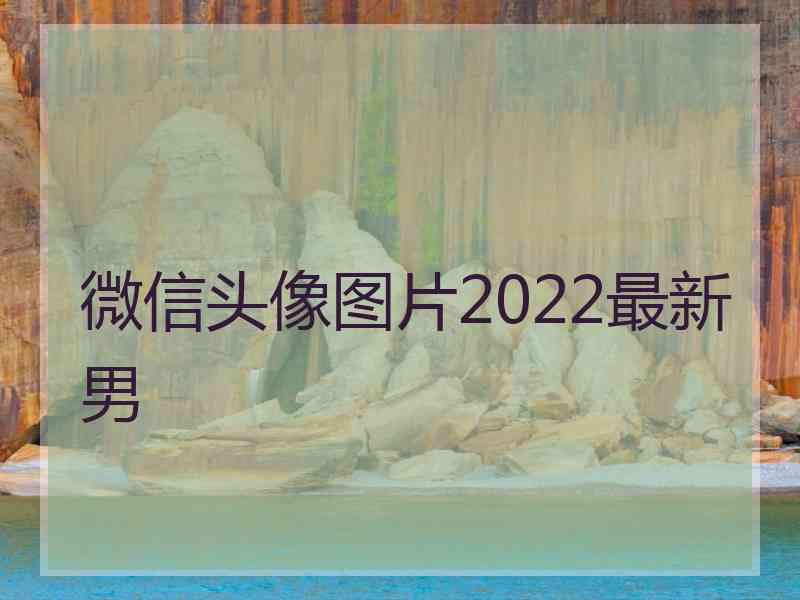 微信头像图片2022最新男