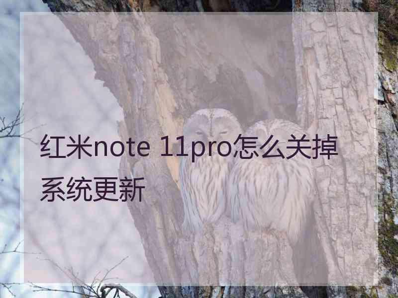 红米note 11pro怎么关掉系统更新