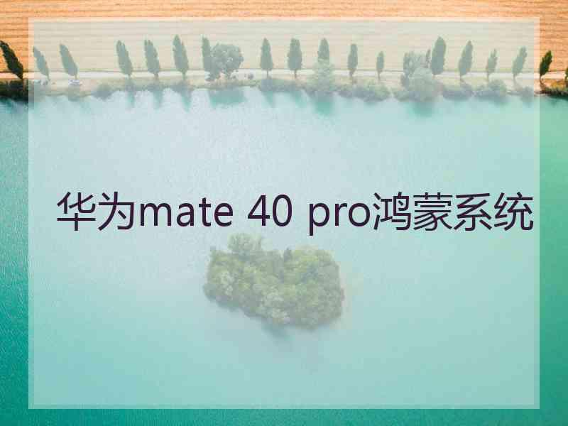 华为mate 40 pro鸿蒙系统