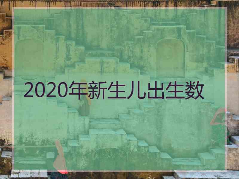 2020年新生儿出生数