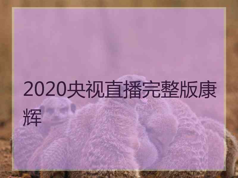 2020央视直播完整版康辉