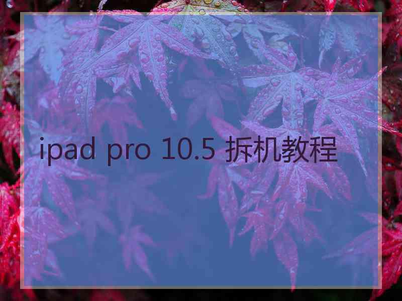 ipad pro 10.5 拆机教程