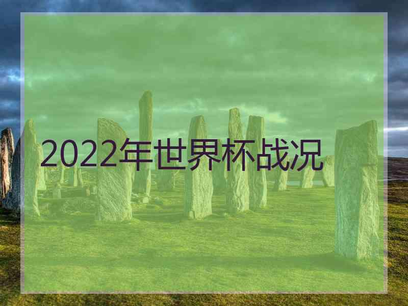 2022年世界杯战况