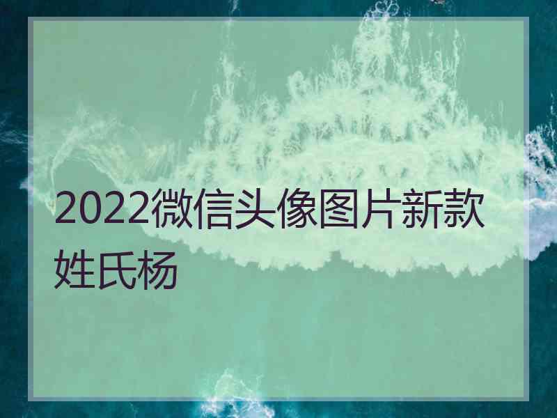 2022微信头像图片新款姓氏杨