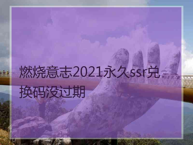 燃烧意志2021永久ssr兑换码没过期