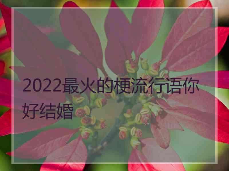 2022最火的梗流行语你好结婚