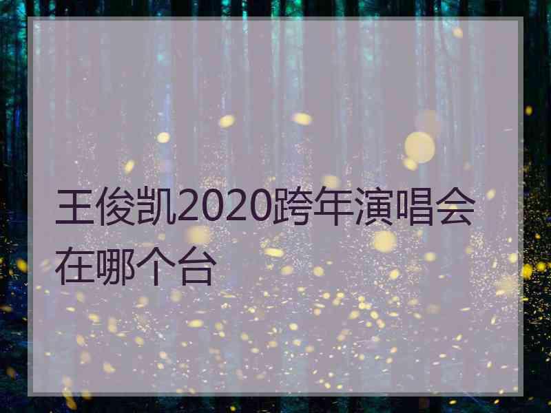 王俊凯2020跨年演唱会在哪个台