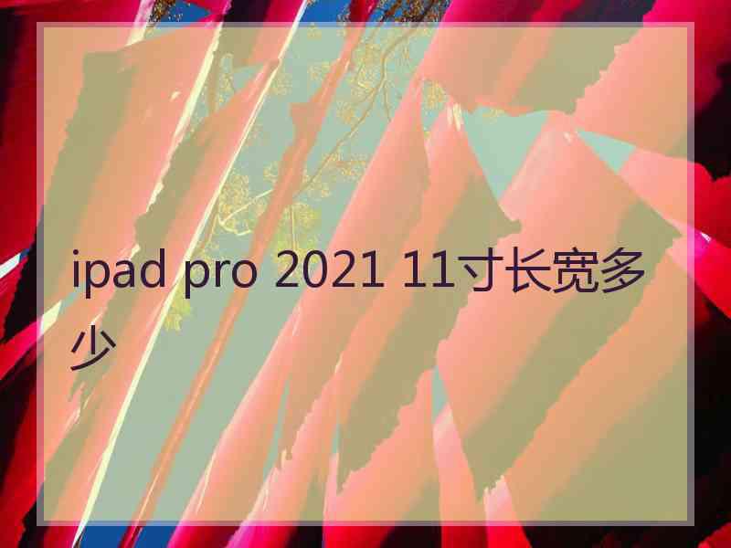 ipad pro 2021 11寸长宽多少