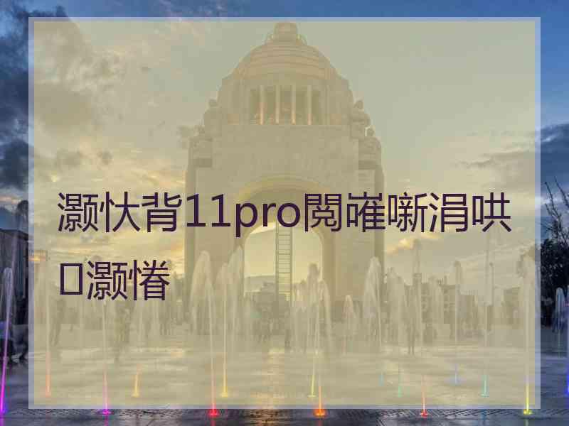 灏忕背11pro閲嶉噺涓哄灏慻