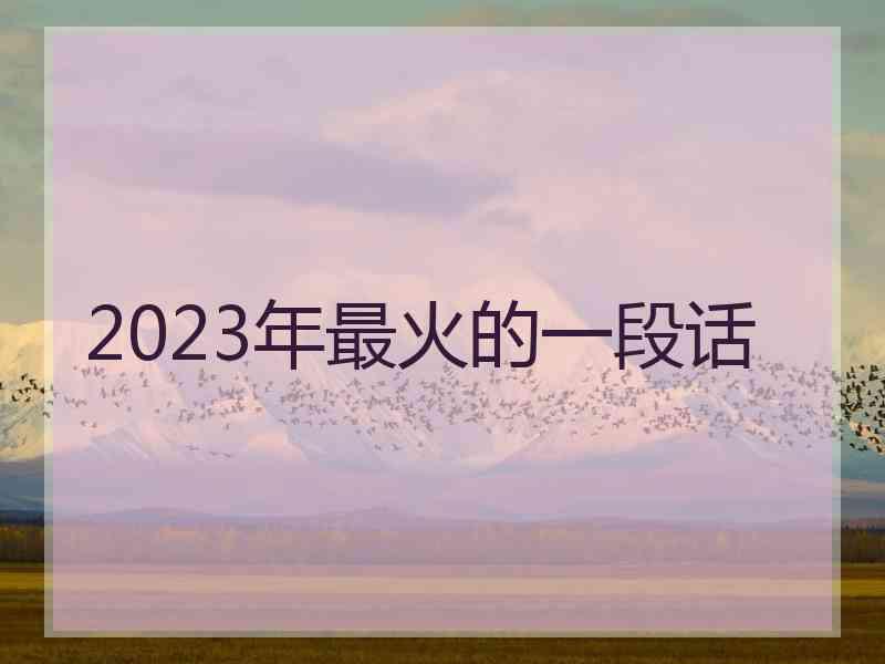 2023年最火的一段话