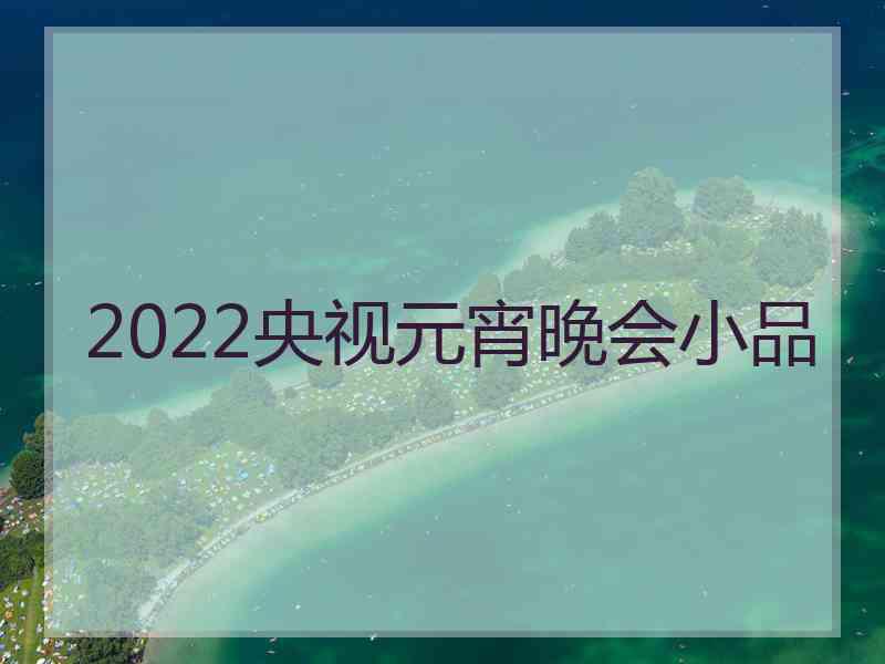 2022央视元宵晚会小品