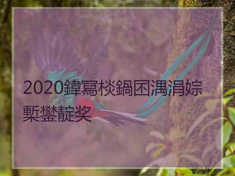 2020鍏冩棪鍋囨湡涓婃槧鐢靛奖