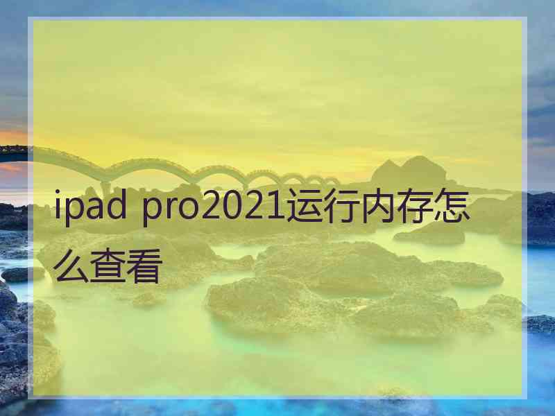 ipad pro2021运行内存怎么查看