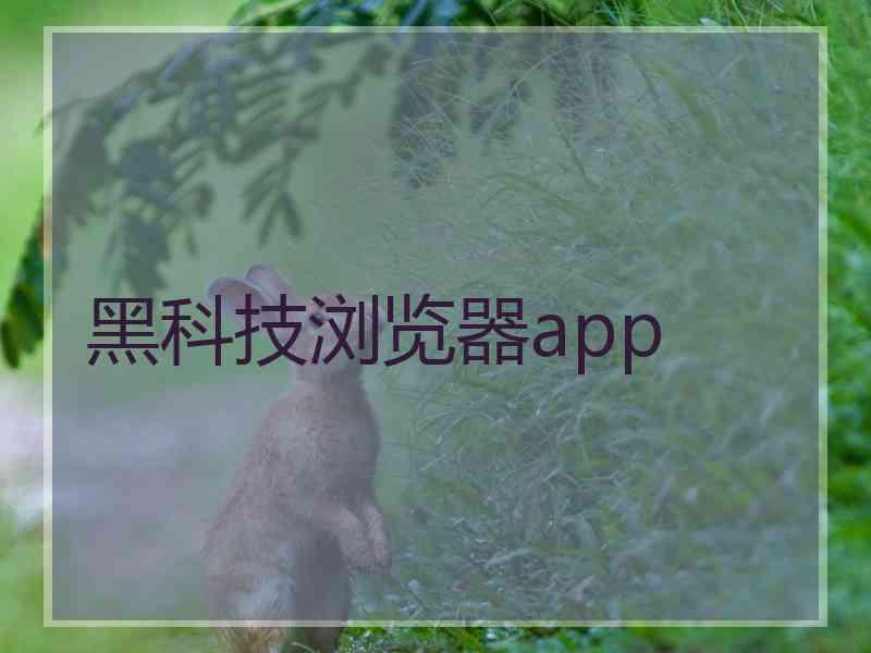 黑科技浏览器app