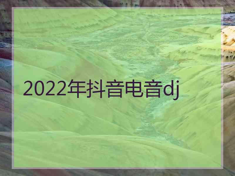 2022年抖音电音dj