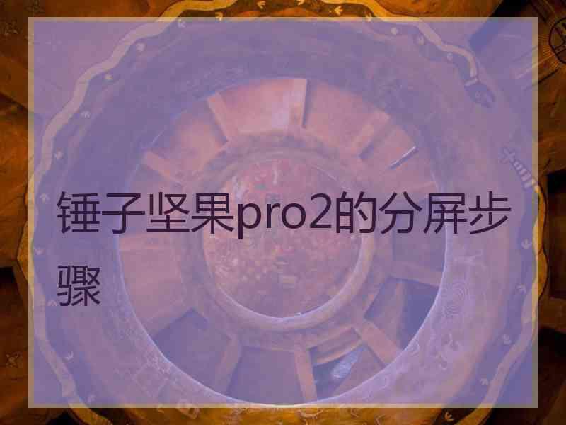 锤子坚果pro2的分屏步骤