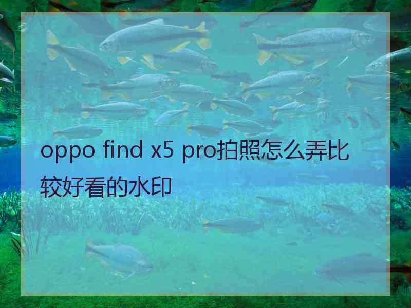 oppo find x5 pro拍照怎么弄比较好看的水印