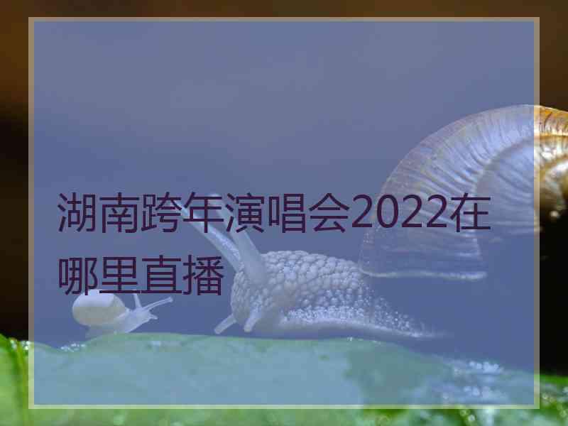 湖南跨年演唱会2022在哪里直播