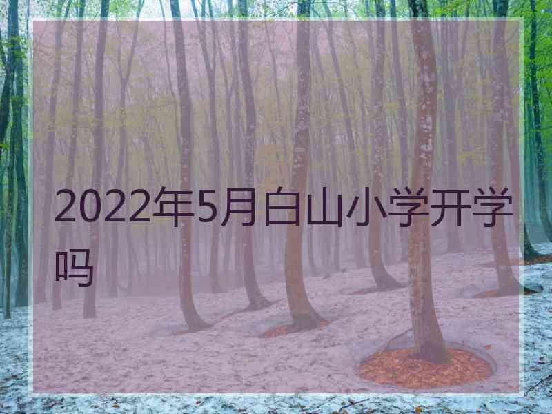 2022年5月白山小学开学吗