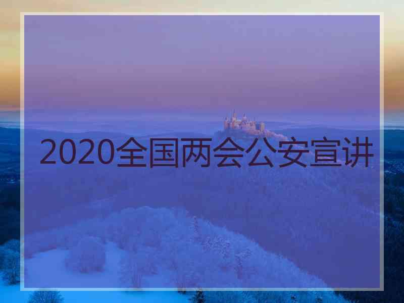 2020全国两会公安宣讲