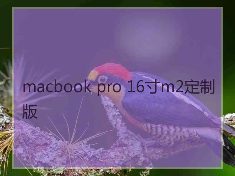 macbook pro 16寸m2定制版