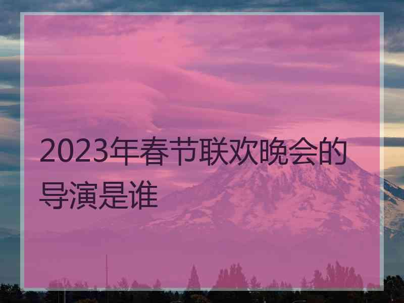 2023年春节联欢晚会的导演是谁