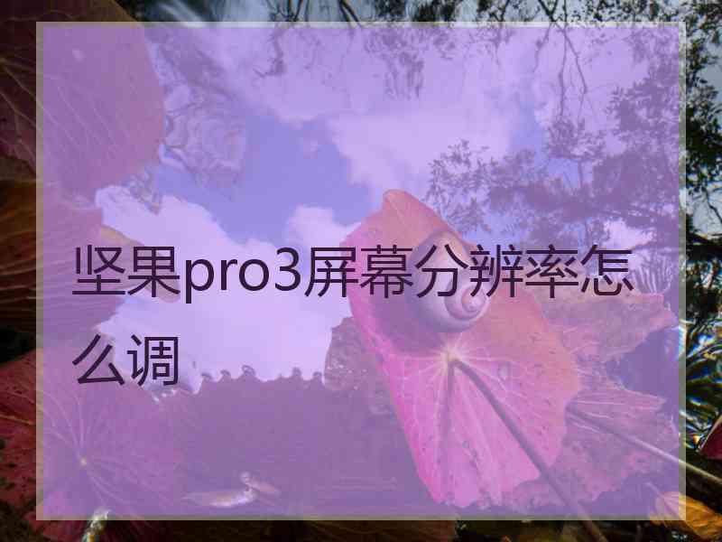 坚果pro3屏幕分辨率怎么调