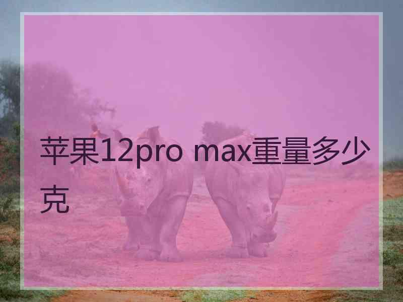 苹果12pro max重量多少克