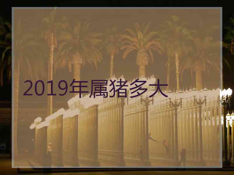 2019年属猪多大