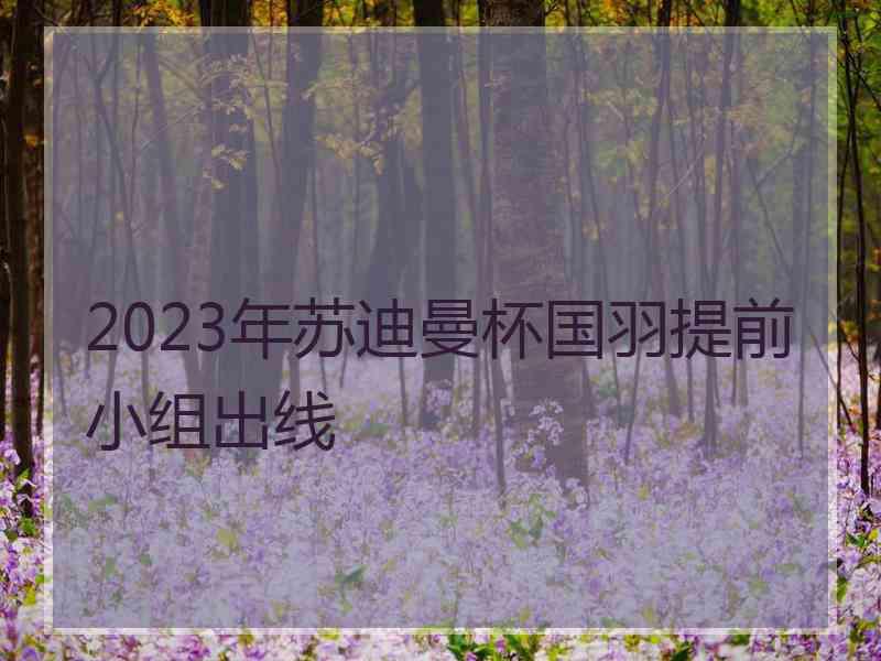 2023年苏迪曼杯国羽提前小组出线