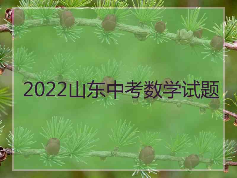 2022山东中考数学试题