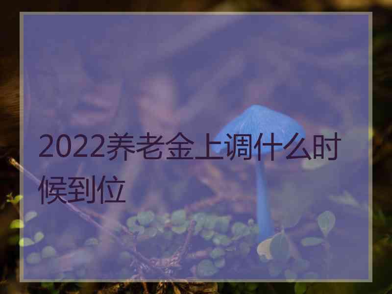 2022养老金上调什么时候到位