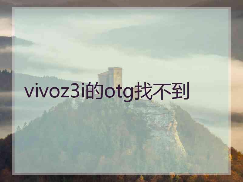 vivoz3i的otg找不到