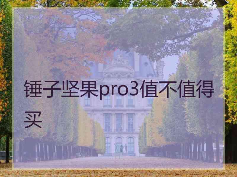 锤子坚果pro3值不值得买