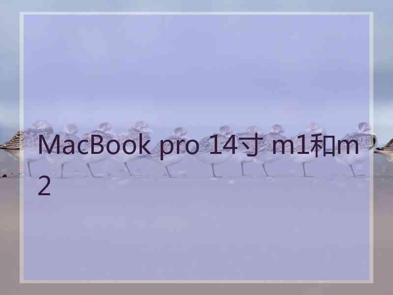 MacBook pro 14寸 m1和m2