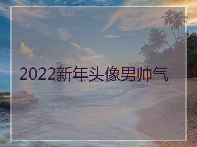 2022新年头像男帅气