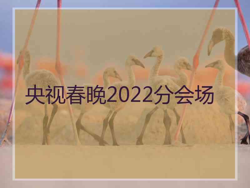 央视春晚2022分会场