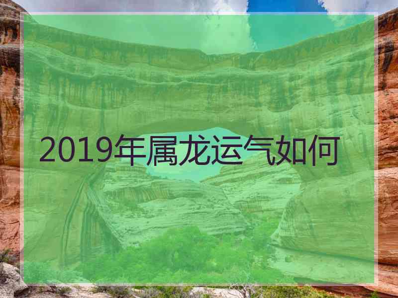 2019年属龙运气如何