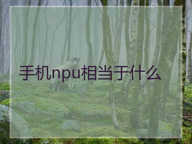 手机npu相当于什么