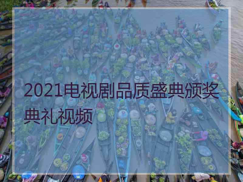 2021电视剧品质盛典颁奖典礼视频