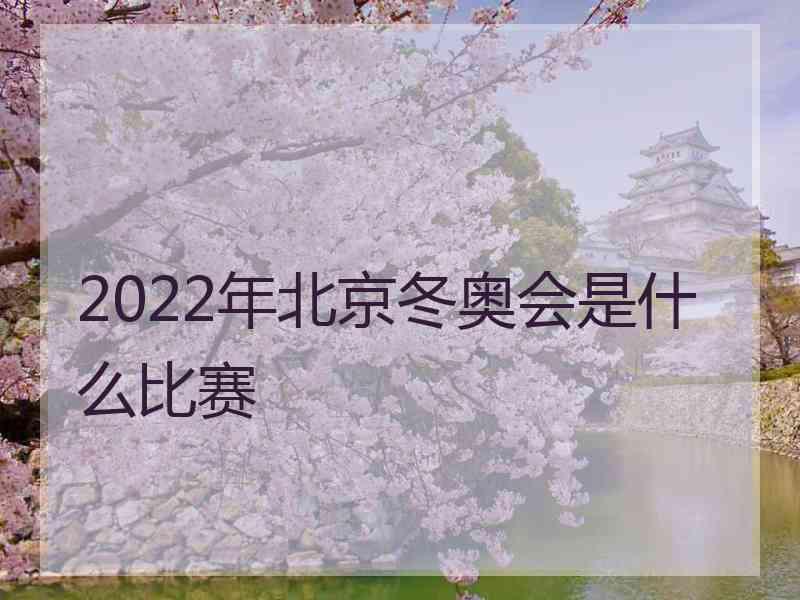 2022年北京冬奥会是什么比赛