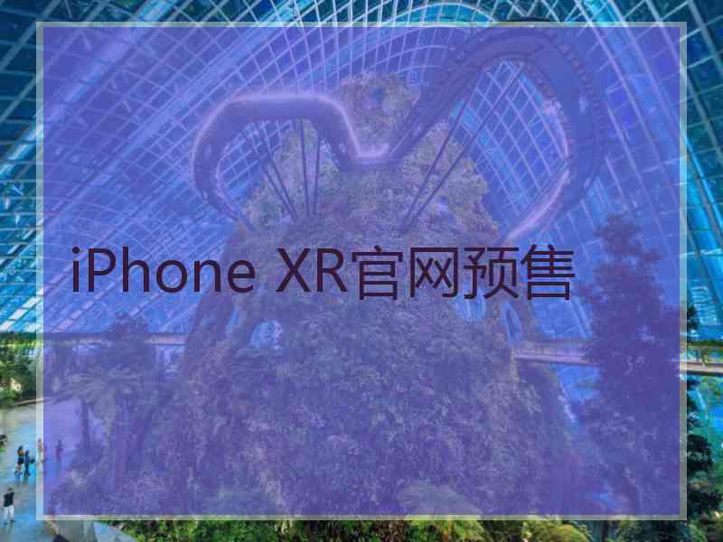 iPhone XR官网预售