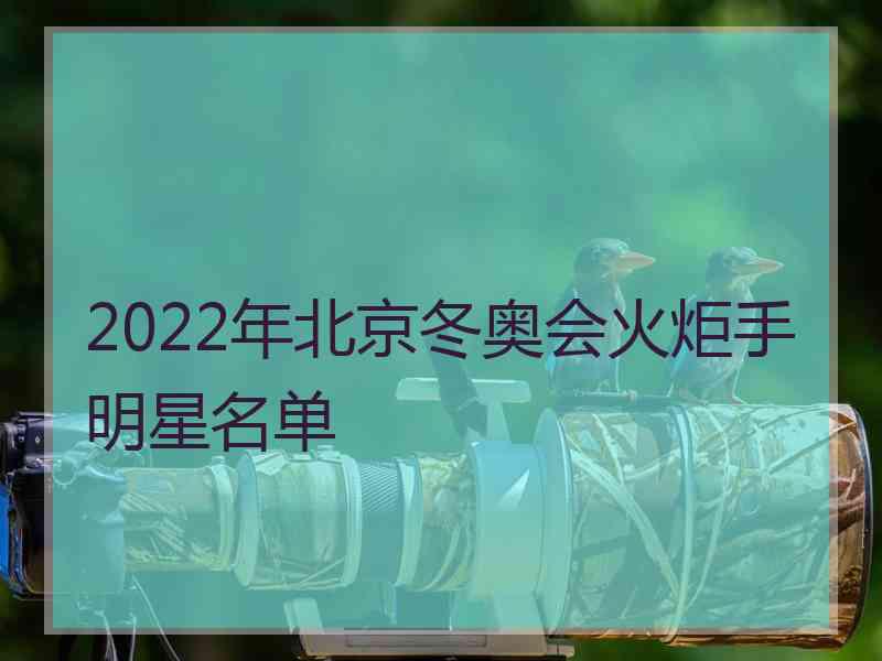 2022年北京冬奥会火炬手明星名单