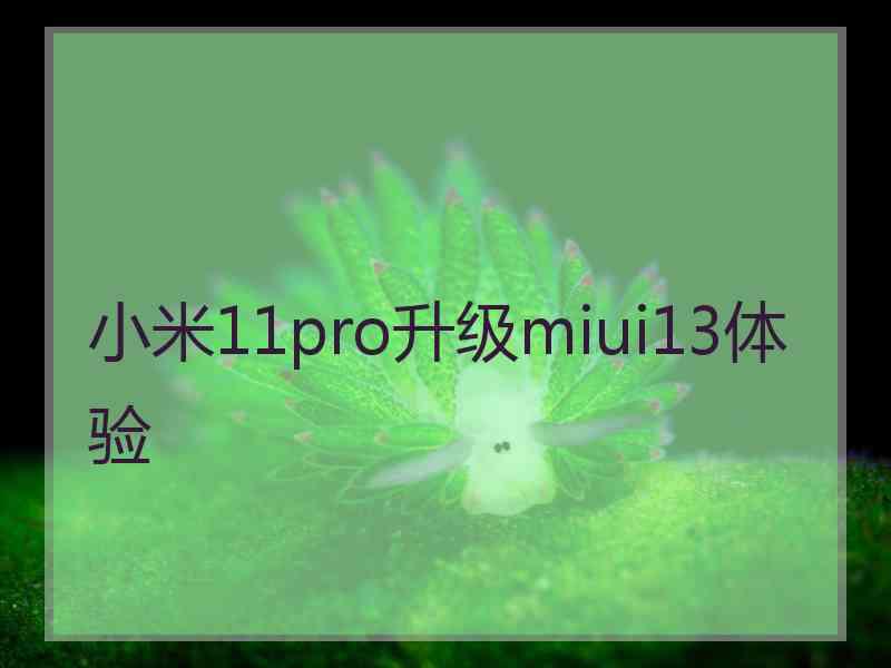 小米11pro升级miui13体验