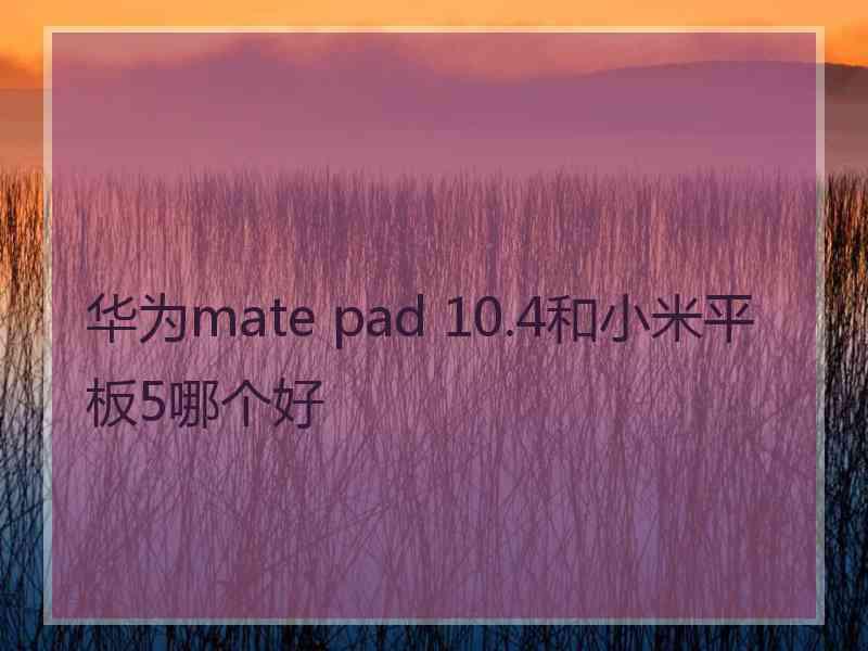 华为mate pad 10.4和小米平板5哪个好