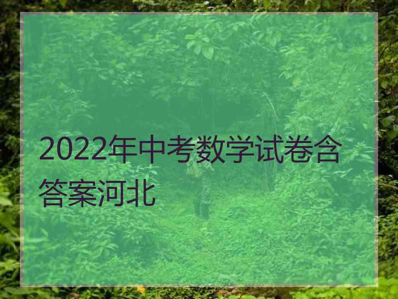 2022年中考数学试卷含答案河北