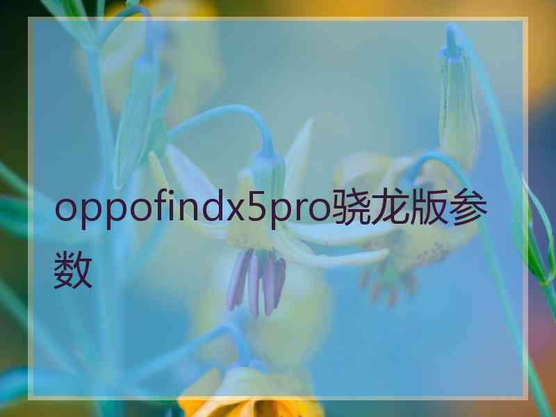 oppofindx5pro骁龙版参数